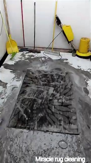 2.3K views · 51 reactions | "Easy Rug Cleaning Hacks You’ll Wish You Knew Sooner!" #carpet #carpetcleaning #satysfying #cleaning #viralreelsシ #foryouシ | Miracle Rug Cleaning | Facebook