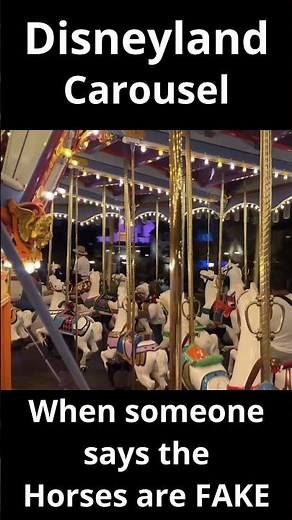 Disneyland Carousel is FAKE!?