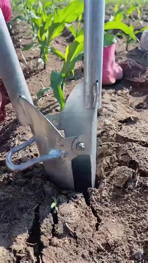 Maize crops agriculture machinery part 3656