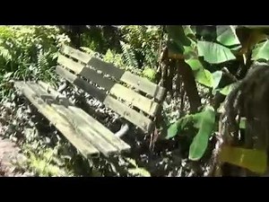 What Remains of Cypress Gardens at Legoland, Florida.