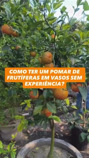 Transforme seu quintal com a Semana do Quintal Produtivo
