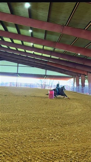 Secretly Epic making an exhibition cruise to get ready for this weekend! #turnttrainingandbarrelhorses #futurityhorse #secretlyepic #epicleader #barrelhorse