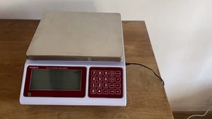 Seattle Alki Scientific Counting Scale | 30 kg x 0.5 g | Industrial Counting Scale for Small Parts | USA Company | Units: g, lbs, oz, kg (30 kg x 0.5 g)