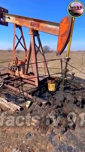 4.7M views · 10K reactions | “How Black Crude Oil Turns into Petrol, Diesel & Asphalt️⛽ – The Amazing Refinery Process #CrudeOil #PetrolDiesel #OilRefinery #EnergyFacts #ScienceAndTechnology #sciencefacts #fblifestyle | facts tv 91 | Facebook