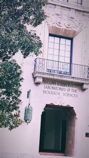 Discovering the Stunning Scenery of Caltech