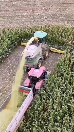 Corn Silage Preparation 🌽 | High-Quality Feed for Livestock #farming #modernfarmer