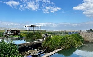 נעים להכיר: 5 מעיינות חדשים ב"ארץ המעיינות" שיפתחו לציבור בפסח