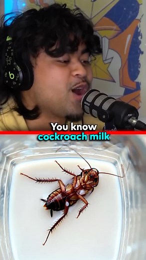 Jumpers Jump | COCKROACH MILK IS HEALTHY 😱 EP.221 @jumperspodcast | Instagram