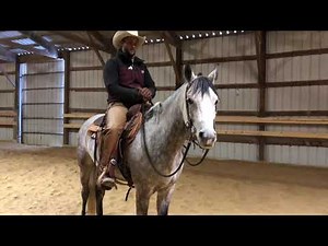 Riding a Spooky Horse