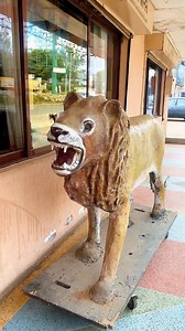 81K views · 3.8K reactions | Simba | YY Comedian | Facebook