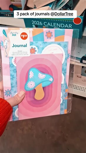 3 pack of affordable journals @Dollar Tree #dollartree #journalingsupplies #bulletjournal #junkjournal #journaling