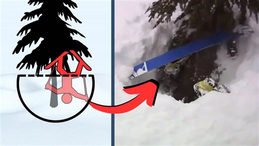 Do not underestimate the hidden dangers of tree wells on the slopes - The Weather Network