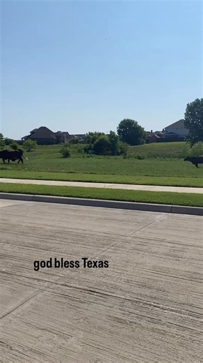 Dallas Texas TV on Instagram: "Average day in the life of Fort Worth 🤠 (Via @jennifer.a.hansen.3)"