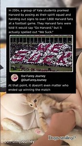 This is Our Funny Journey！#funny #funnyvideos #memes