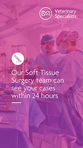 3.6K views | A minimally invasive approach ensures your patients have...