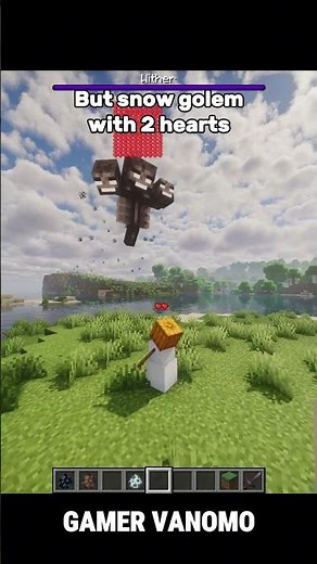 Wither X Snow Golem #minecraft #shorts