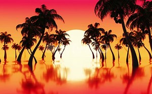 MP4视频文件-热带海洋日落 4k 棕榈树的剪影4k无限循环VJ视频背景 VJ Background