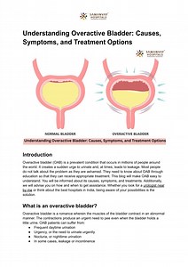 Understanding Overactive Bladder_ Causes, Symptoms, and Treatment Options - SlideServe