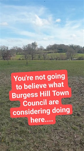 17K views · 48 reactions | Burgess Hill Town Council are considering renting out 5 sqm plots of land right here on our beautiful nature reserve at Batchelors Farm for business pods. Each pod could net BHTC £2K per annum. The Council will be discussing the proposal this coming Thursday at 6:30pm at the council chamber on Church Walk. Come along and let your feelings known! #BurgessHill #naturereserve #BurgessHillUncovered #BurgessHillTownCouncil | Burgess Hill Uncovered | Facebook