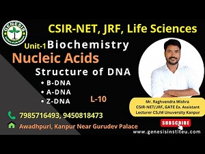 Structure of DNA | B-DNA | A-DNA | Z-DNA | Nucleic Acids | Biochemistry#genesis_institute