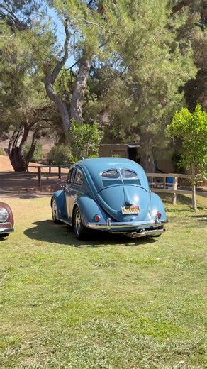 1.7K views · 2.9K reactions | I was supposed to hear this coming from a split window beetle . | Driven60vw | Facebook