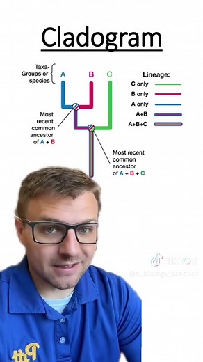 Comprehensive Guide to Cladograms in Biology