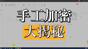 51 利用参数实现数据手工加密和权限控制