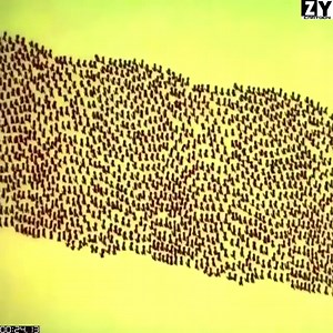 Happy to Watch Classic Cartoon 2023 | C3