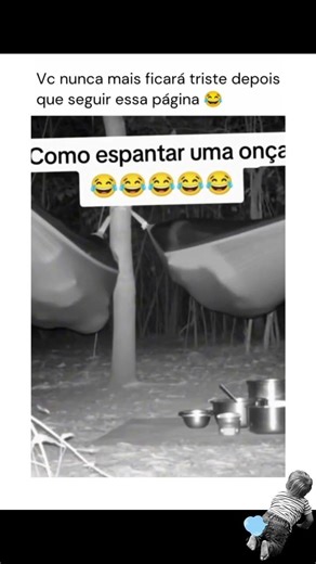 bufa de leve 🤣🤣 #viral #memes #fyy #fyp #onça