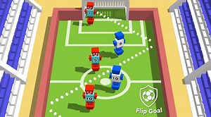 Flip Goal