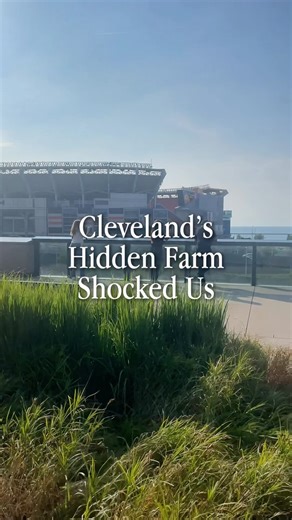 40K views · 2.4K reactions | The Real Farmville, an urban farm...