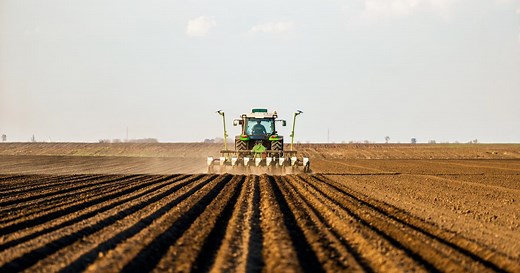 Agriculture : l’UE donne son accord pour développer de «nouveaux OGM»