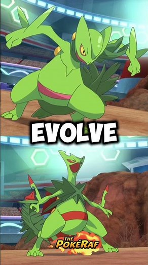 EVERY Sawyer MEGA EVOLUTION Pokémon!