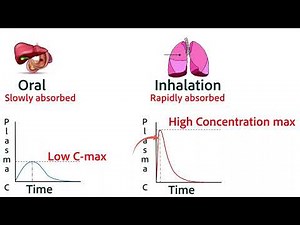 Absorption of Drugs Part 1