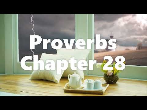 The Book of Proverbs Chapter 28 - New King James Version (NKJV) - Audio Bible