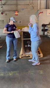 11 reactions | Fast Friends Greyhound Adoption Center on Reels | Facebook