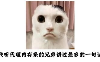 现在买电脑最便宜的平台