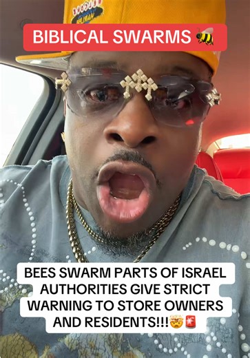 Thousands of bees swarm certain areas in Israel.. coincidence or simmering deeper?🤯🤔 #israel #bees #swarm #palestine #biblical
