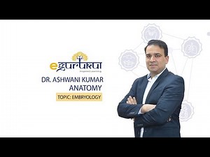 Embryology | Anatomy by Dr. Ashwani Kumar | Dr. Bhatia videos | DBMCI |