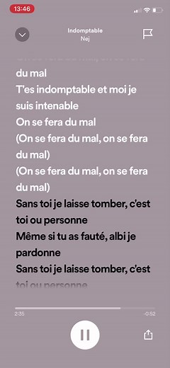 Indomptable 🫶🏼#nej #spotify #indomptable #pourtoi