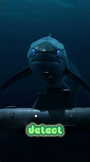 Shark vs Submarine – Future Ocean Episode 4