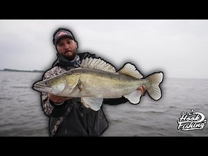 Zander Fishing - Lure fishing for Zander [English Subtitles]