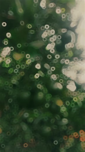 kwan moonrat บน TikTok