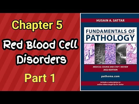 Pathoma Lectures || Chapter 5 Red Blood Cell Disorders Lecture Part 1 || pathology