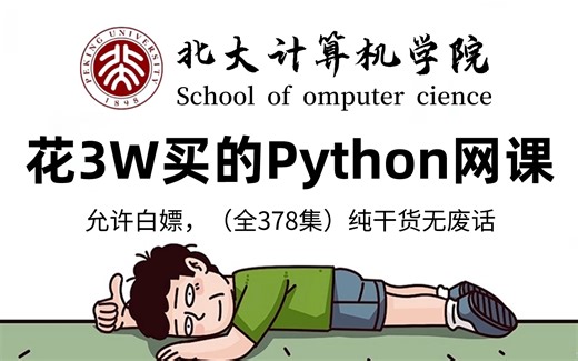 【全378集】价值3W的Python网课，北大大佬为小白研制的保姆级零基础Python（爬虫）教程，全程通俗易懂，小白看完快速进阶大神，拿走不谢，允许白嫖！