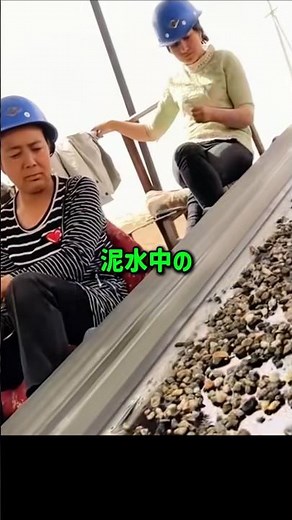 人々が石をこんなに注意深く見る理由