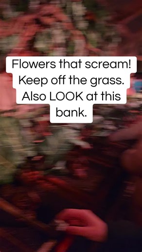 Flowers that scream! Keep off the grass. Also LOOK at this bank. Harry Potter tour Warner brothers #london #stagman #benidorm #warnerbrothers #harrypotter