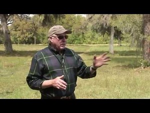 25 Essential Retriever Training Drills for Handling