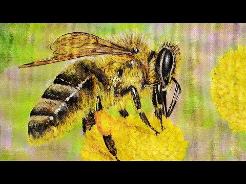 Honey Bee Acrylic Painting LIVE Tutorial