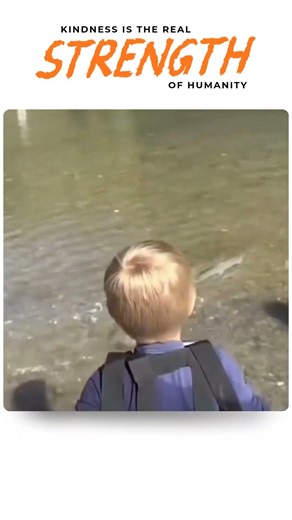 Kindness is the real strength of humanity 💪🙏#shortsfeed #motivation